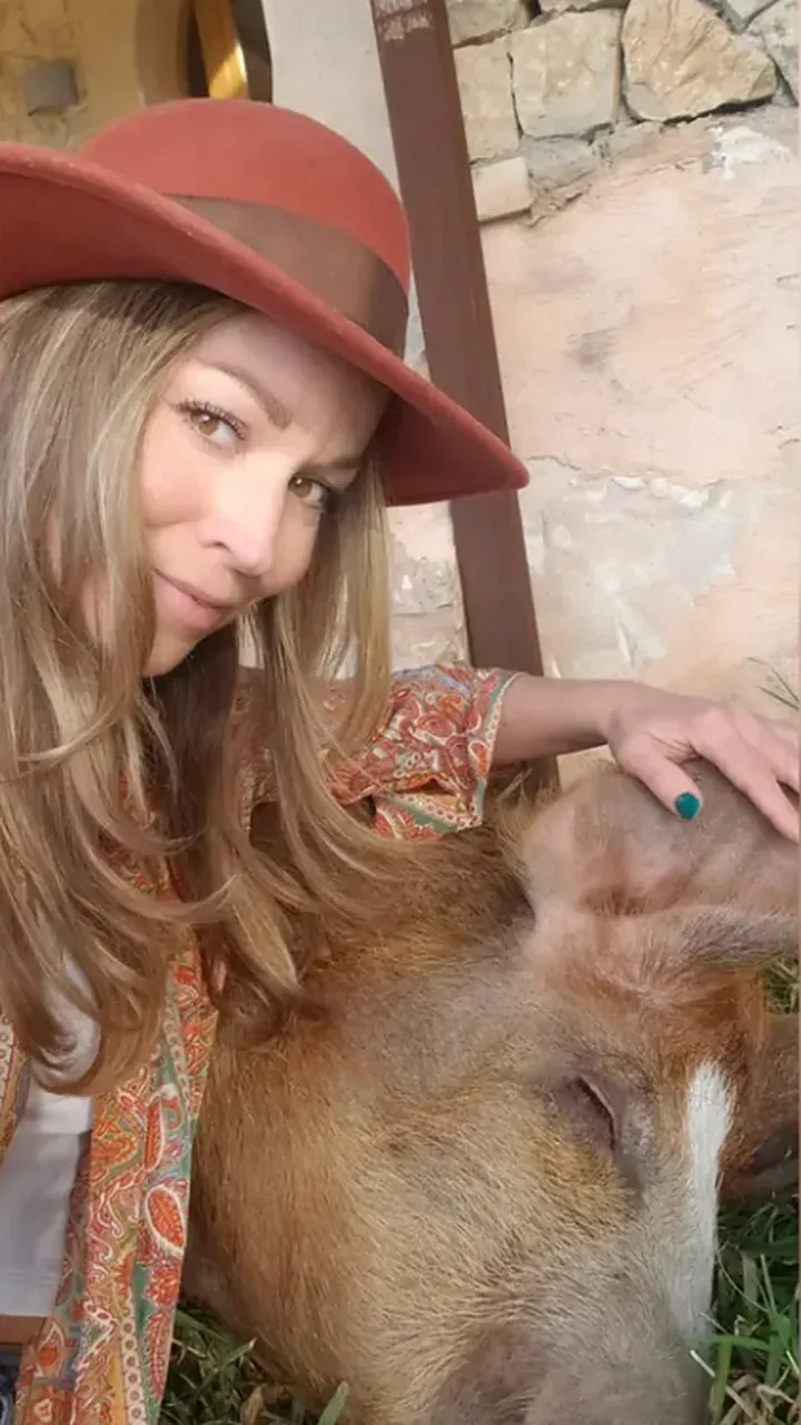 Rayne beside a sleeping pig