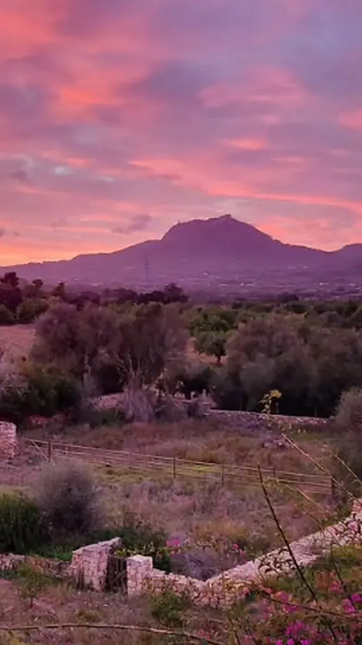 Sunset over the countryside from the finca